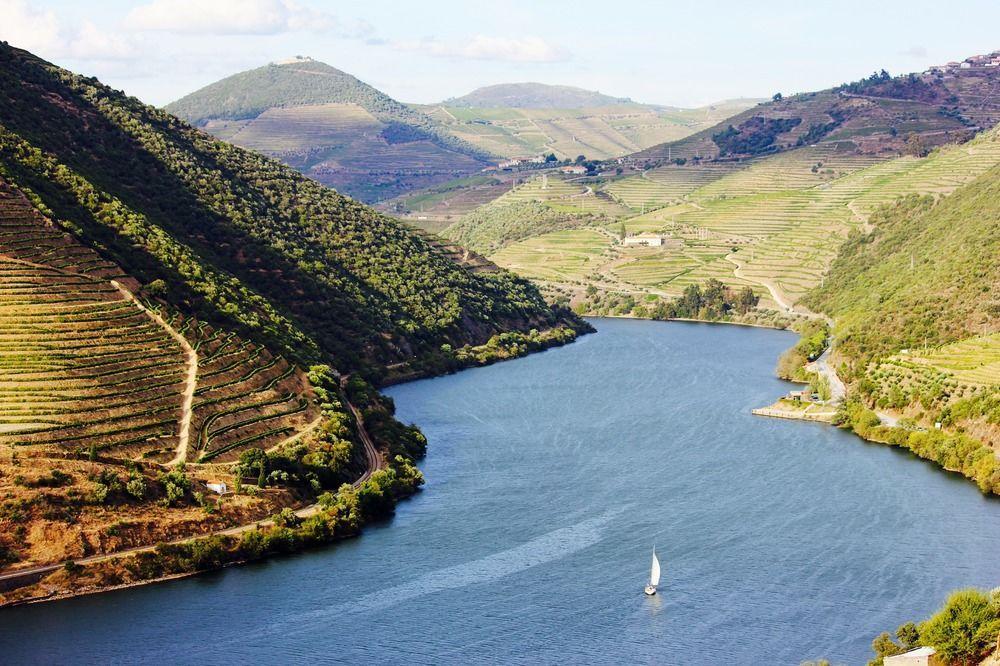 Six Senses Douro Valley Lamego Exterior foto